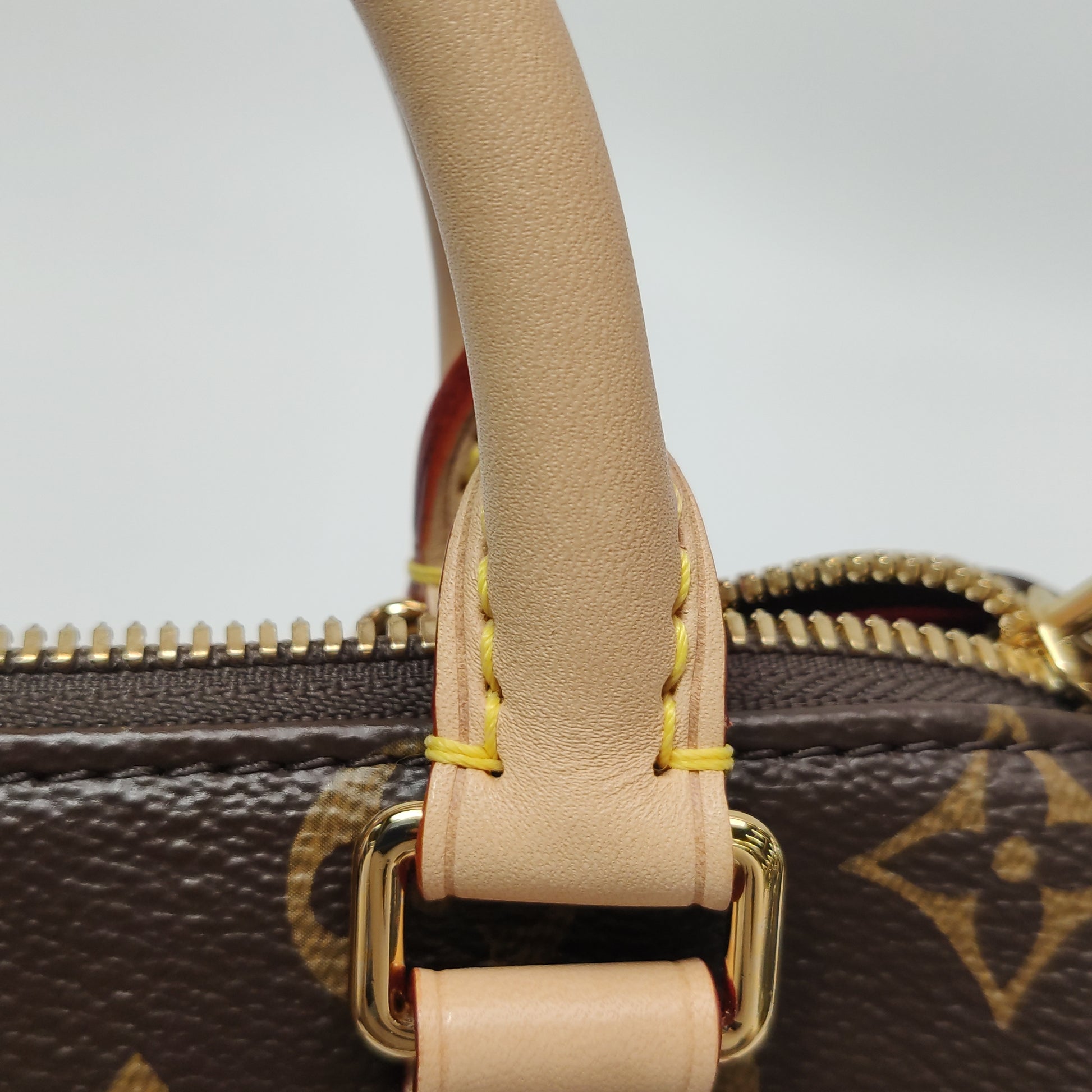 Louis Vuitton Speedy 20 Monogram