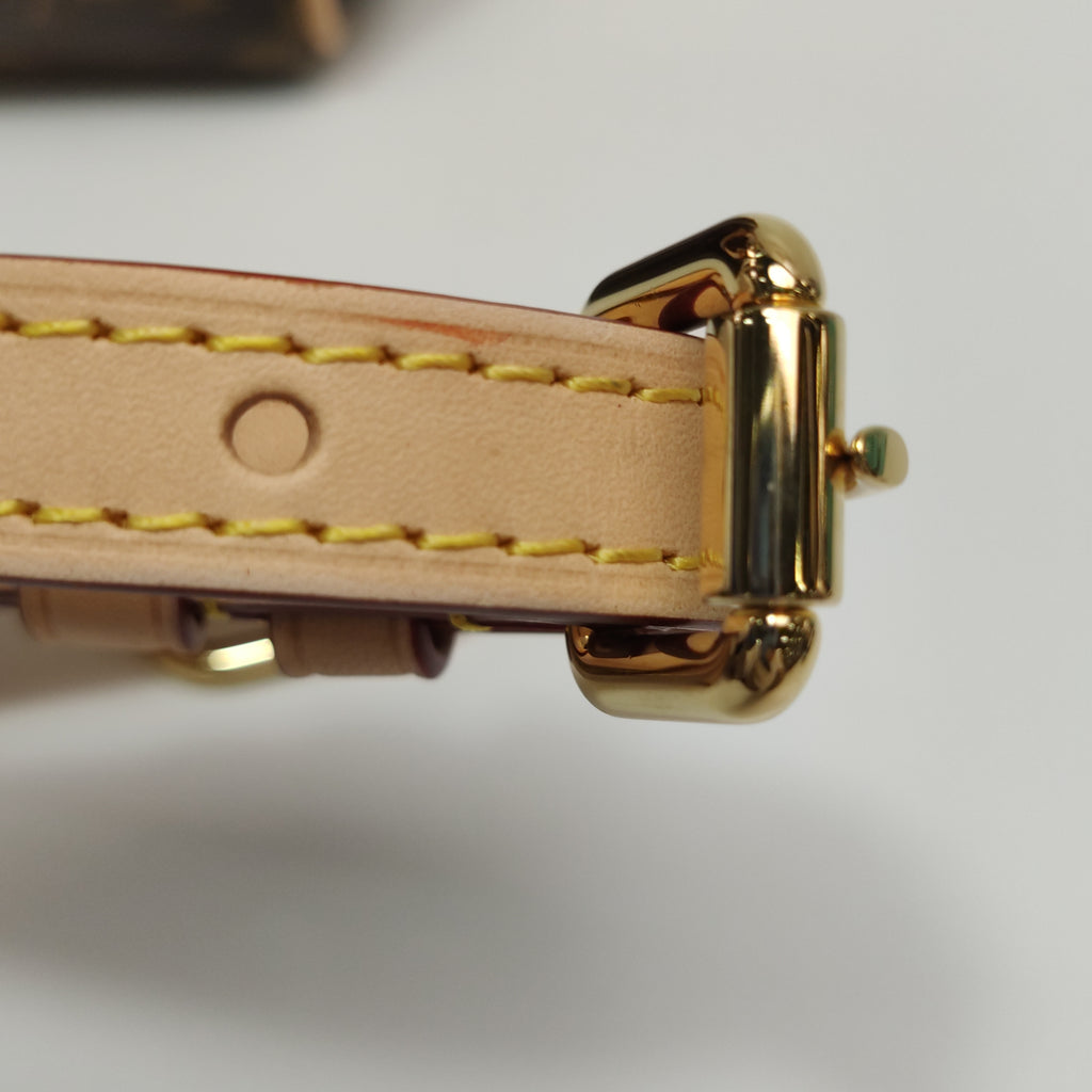 Louis Vuitton Speedy 20 Monogram