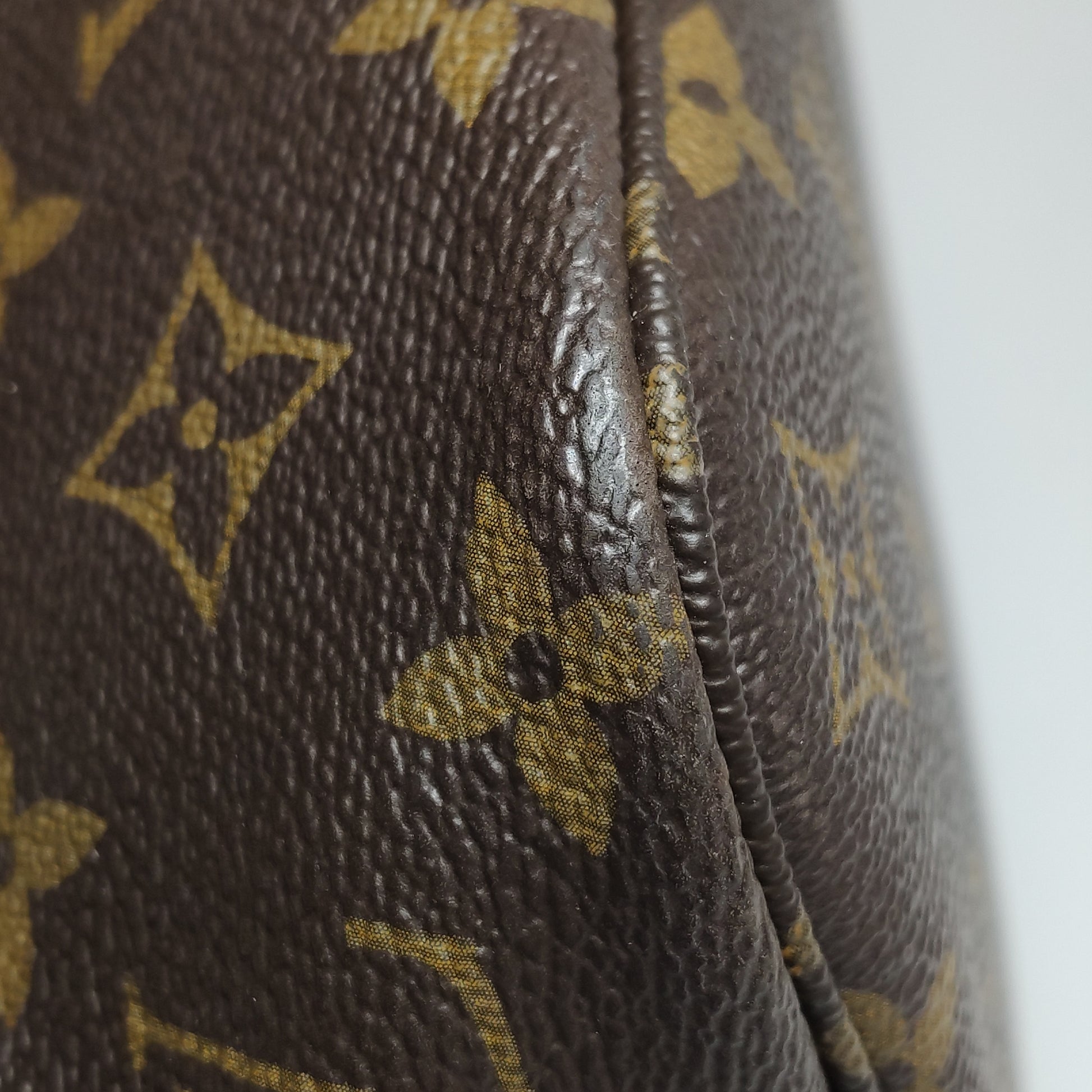 Louis Vuitton Neverfull PM Monogram