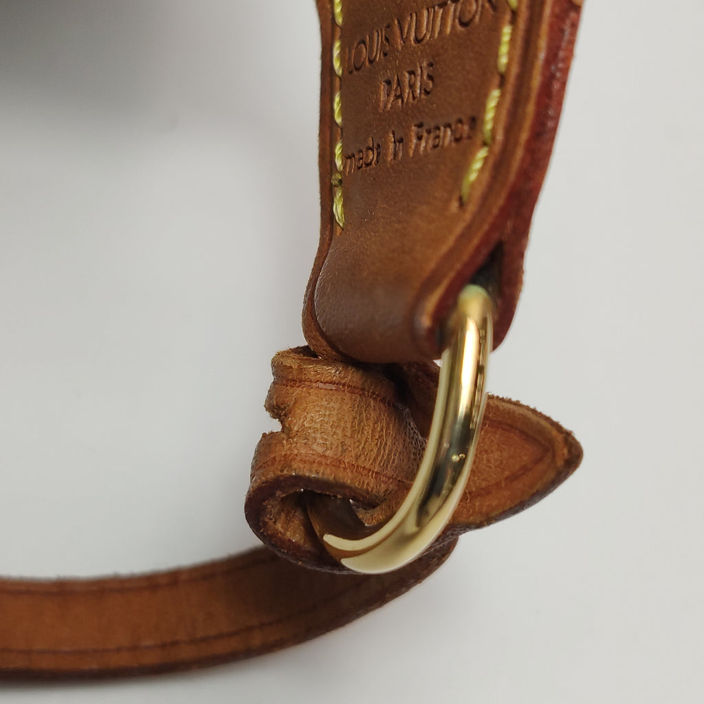 Louis Vuitton Pochette Monogram