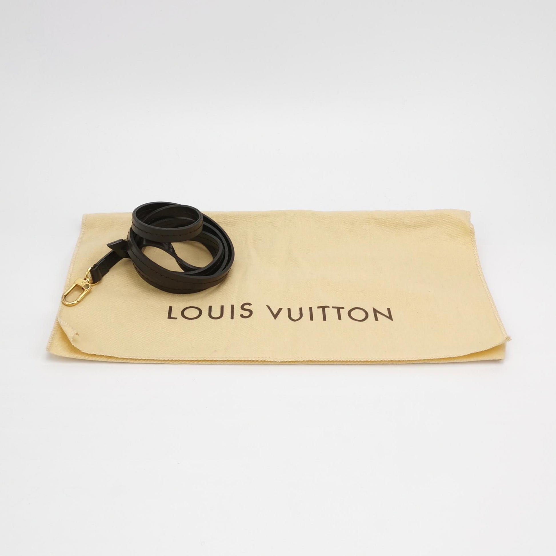 Louis Vuitton Favorite PM Damier Ebene