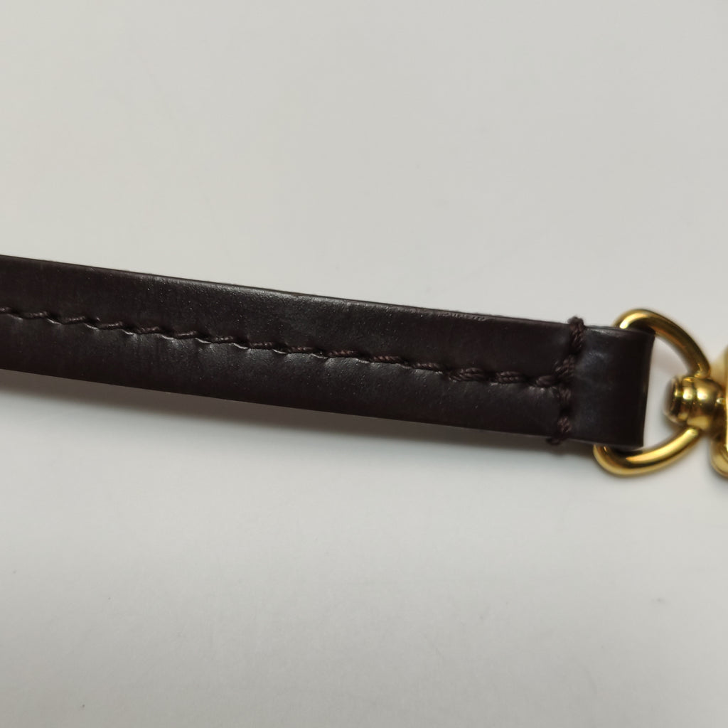 Louis Vuitton Favorite PM Damier Ebene