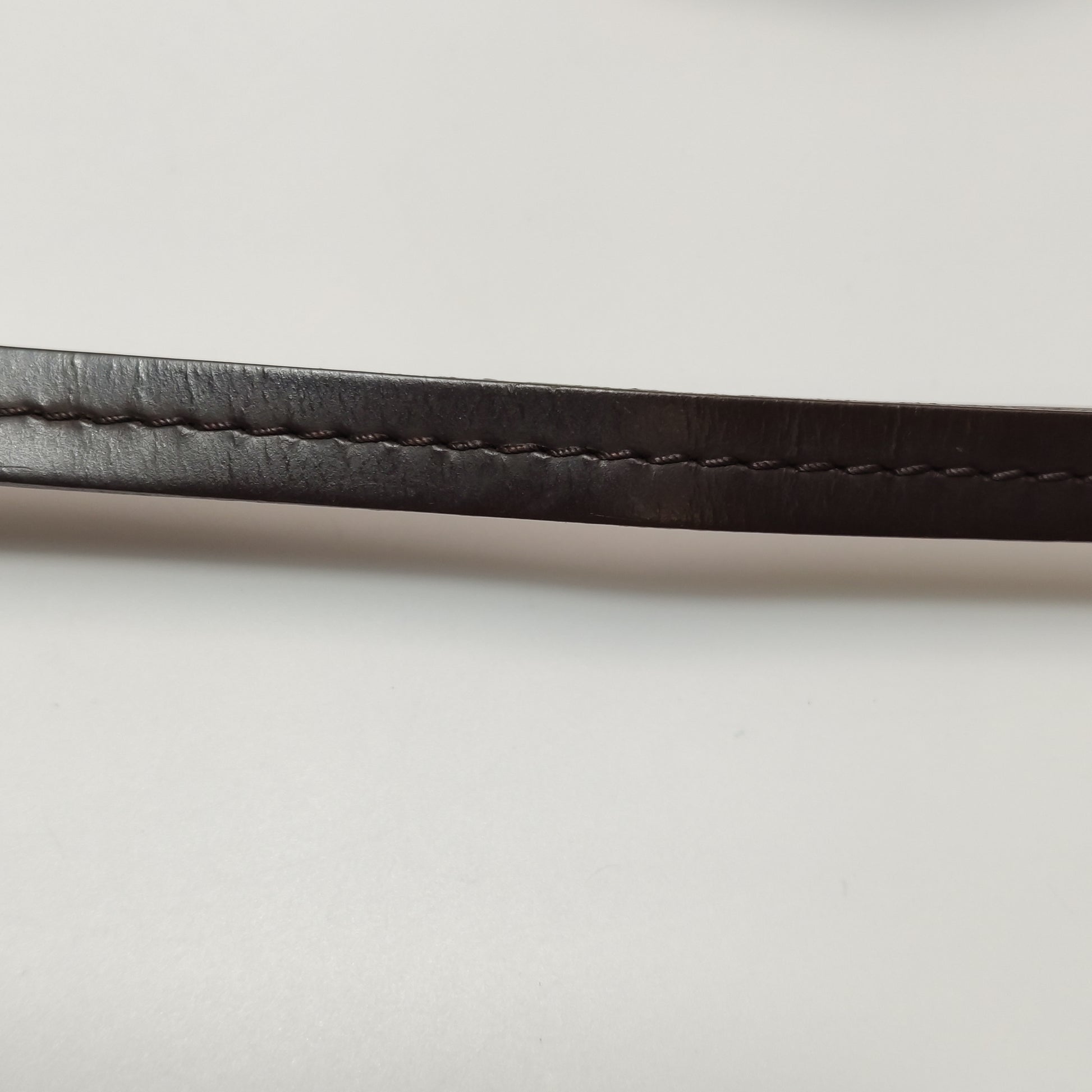 Louis Vuitton Favorite PM Damier Ebene