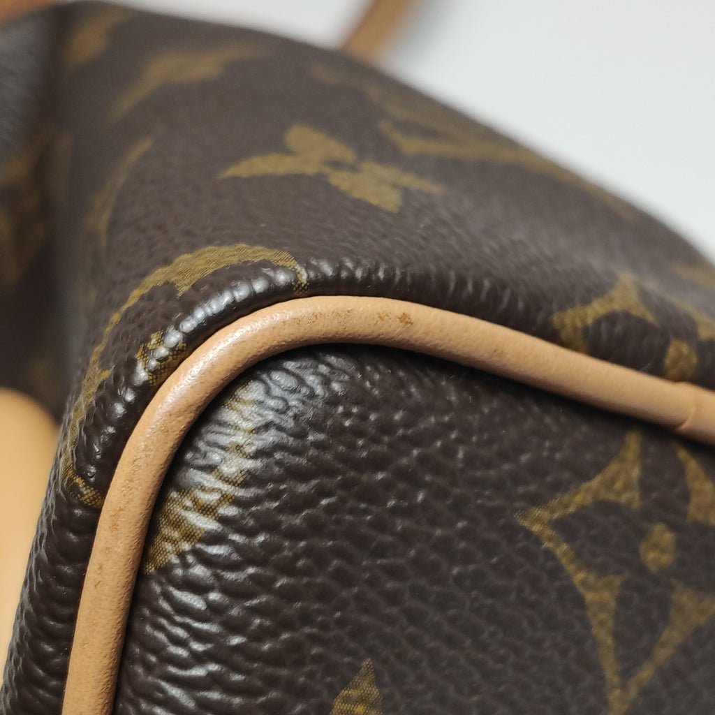 Louis Vuitton Nano Speedy Monogram