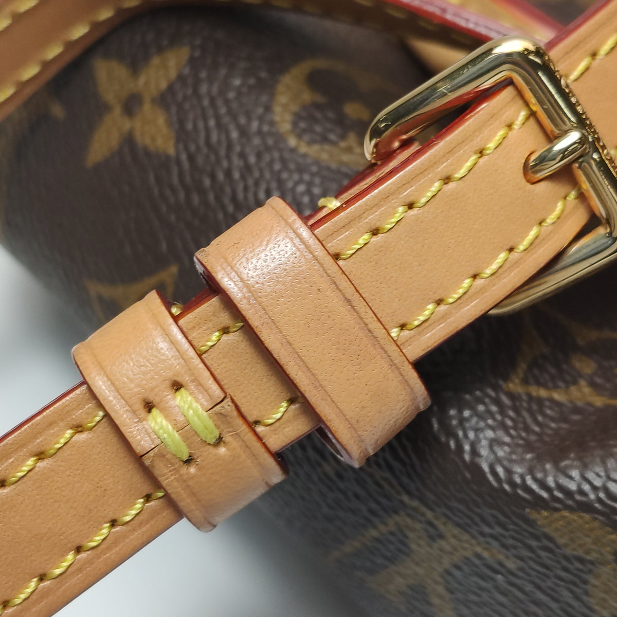 Louis Vuitton Nano Speedy Monogram
