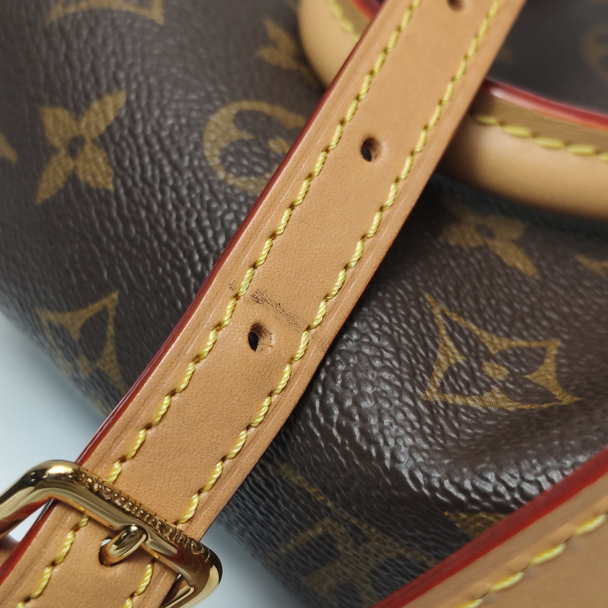 Louis Vuitton Nano Speedy Monogram