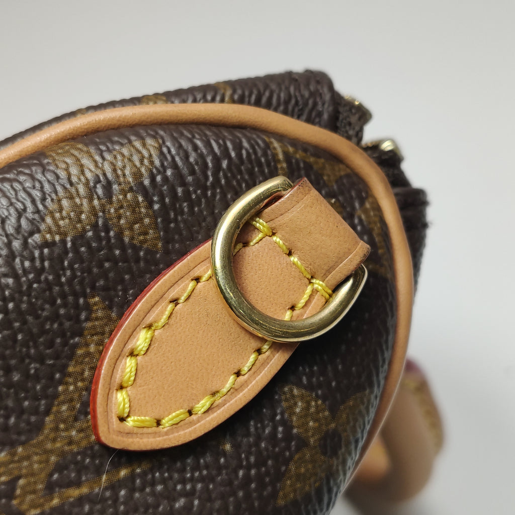 Louis Vuitton Nano Speedy Monogram