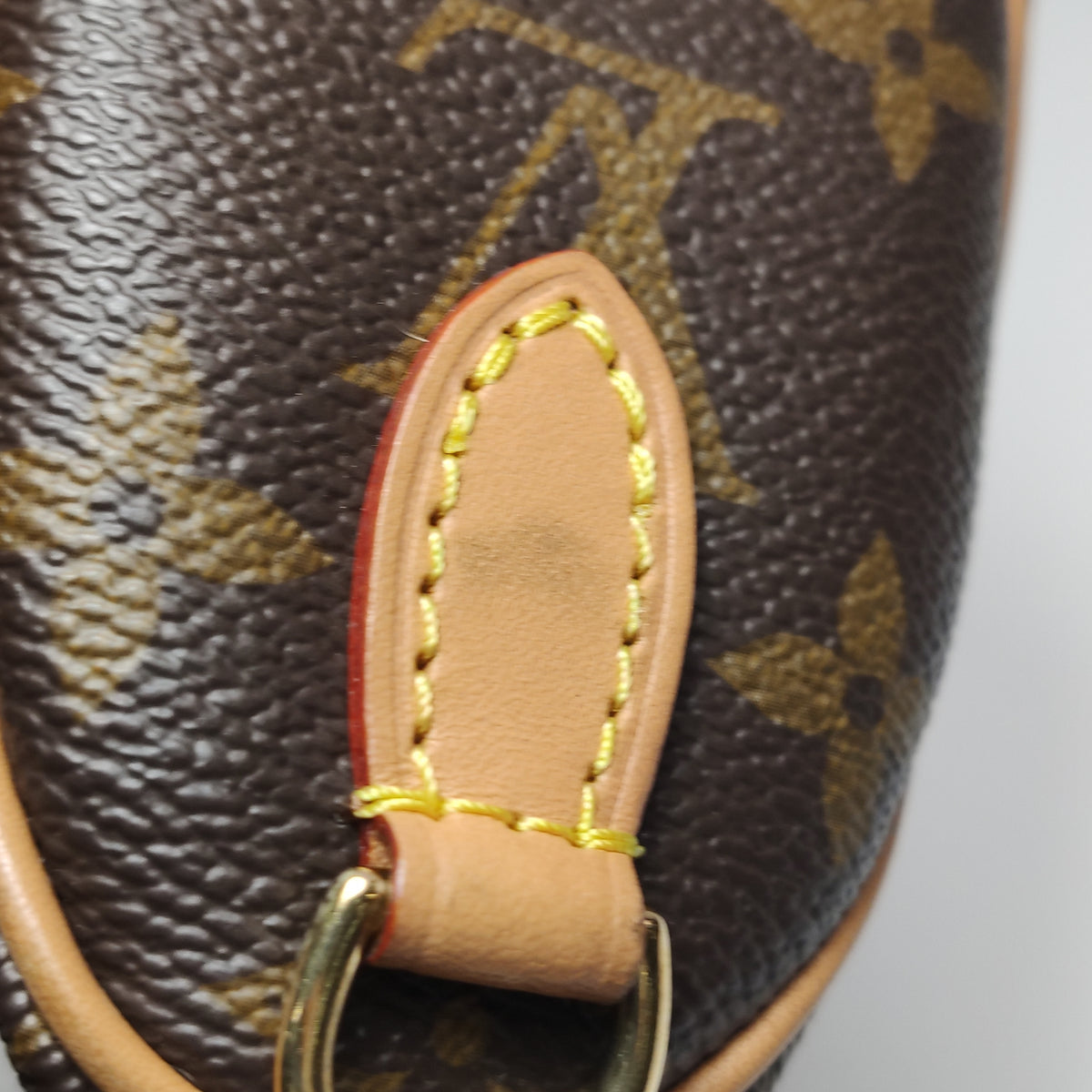 Louis Vuitton Nano Speedy Monogram