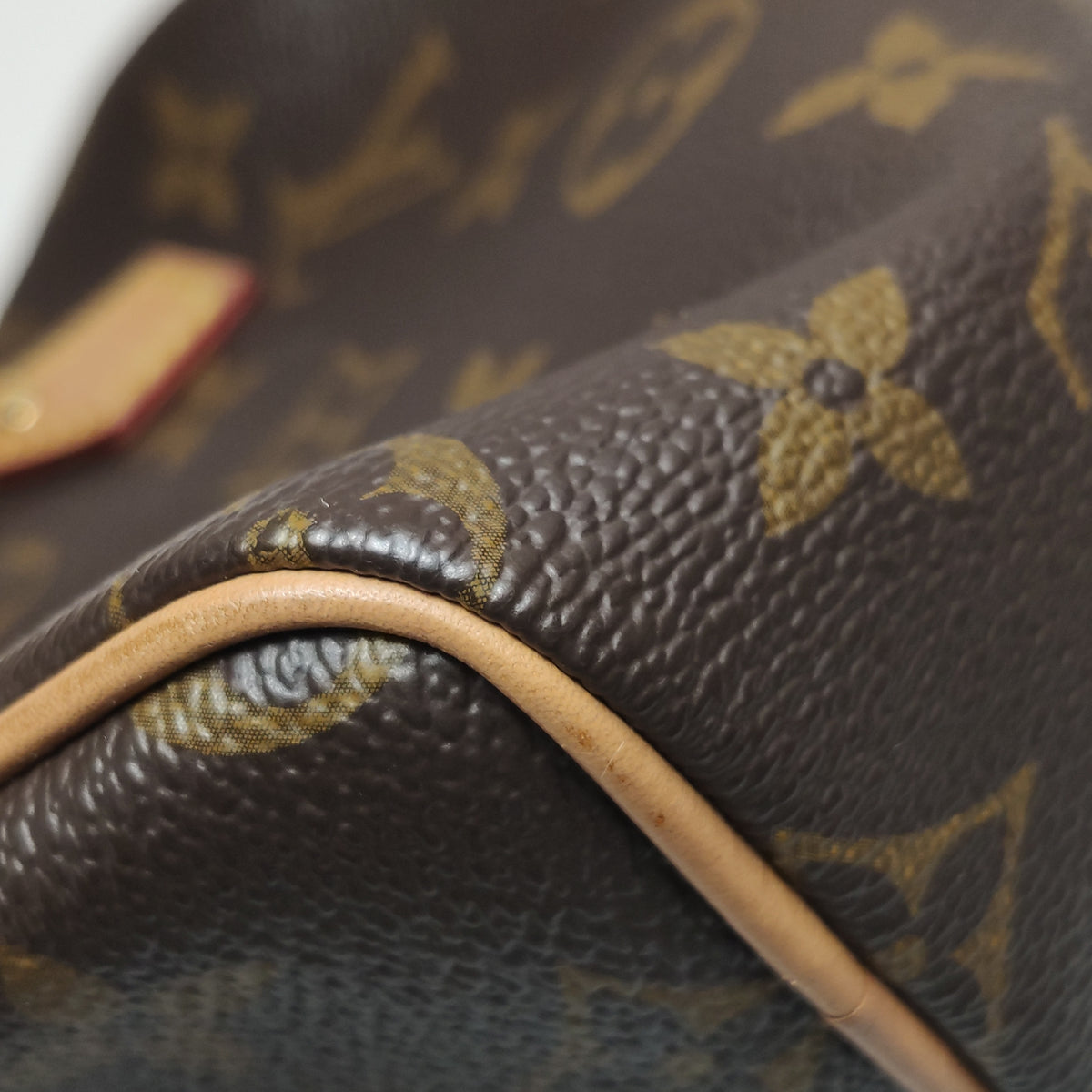 Louis Vuitton Nano Speedy Monogram