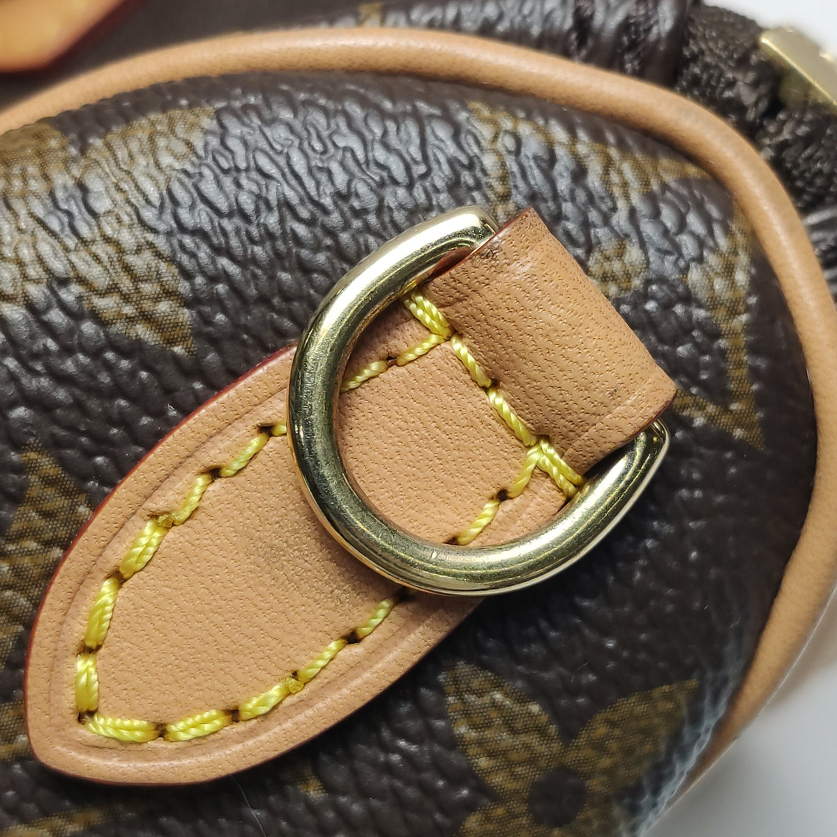 Louis Vuitton Nano Speedy Monogram