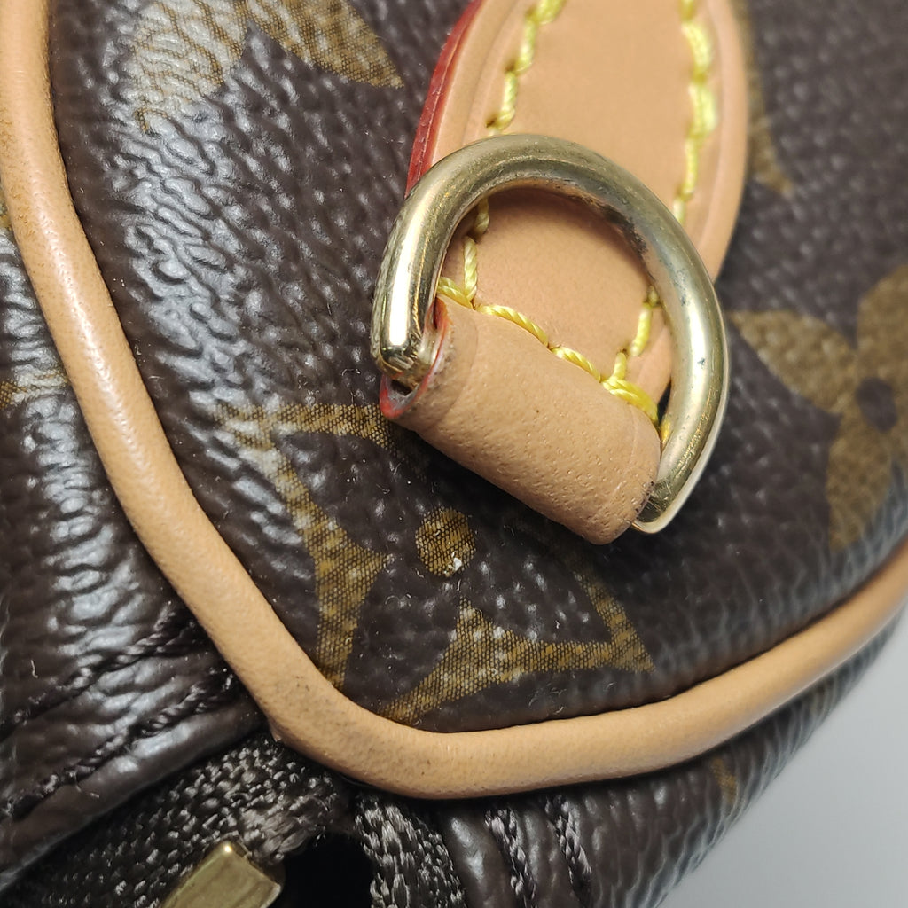 Louis Vuitton Nano Speedy Monogram