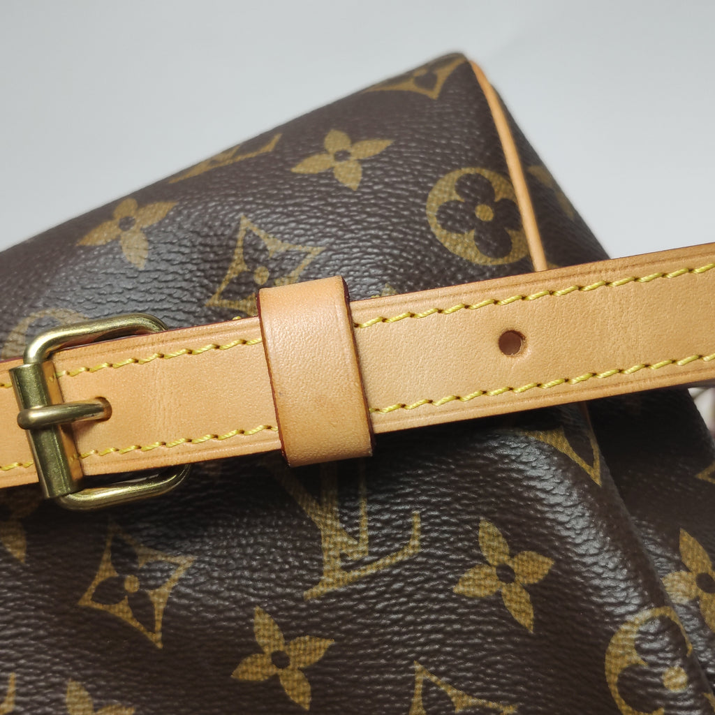 Louis Vuitton Speedy 25 Bandouliere Monogram
