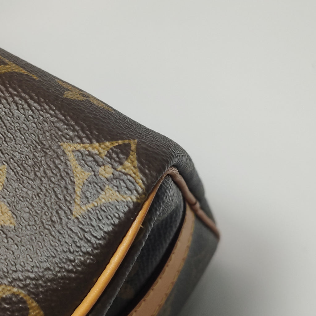 Louis Vuitton Speedy 25 Bandouliere Monogram