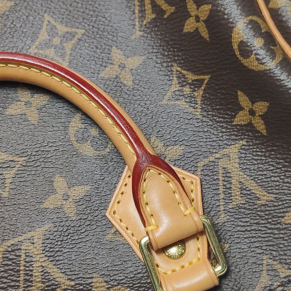 Louis Vuitton Speedy 25 Bandouliere Monogram