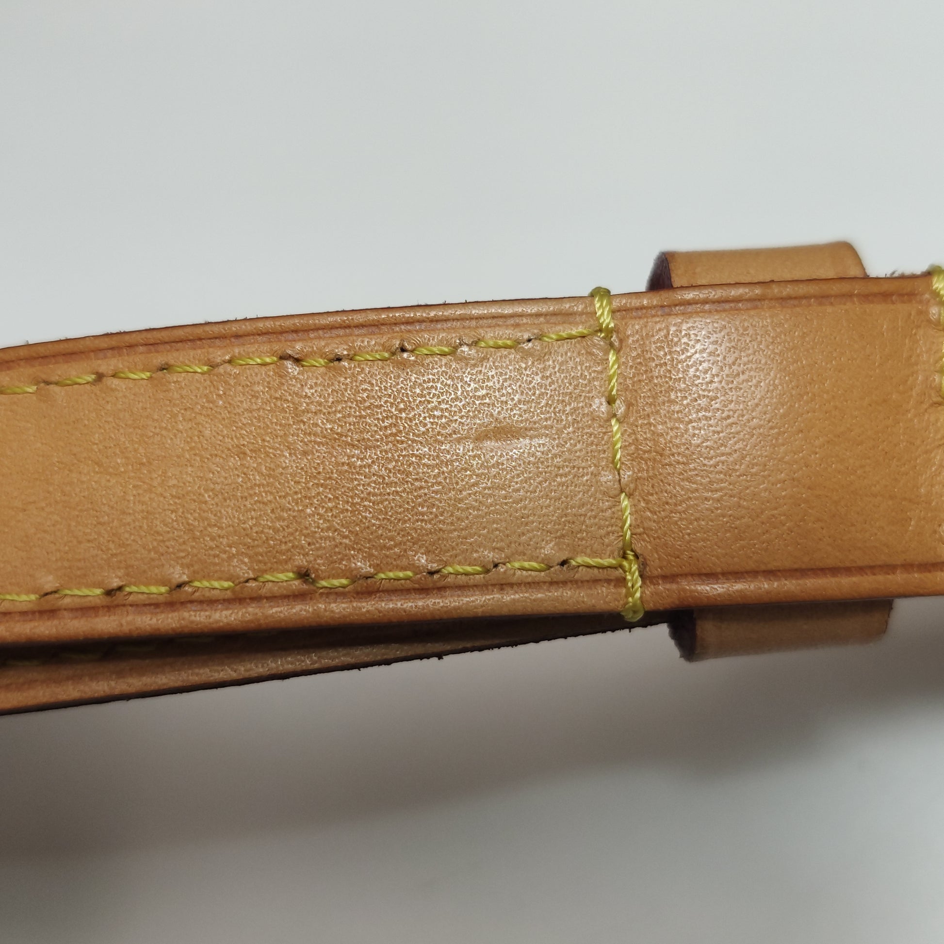 Louis Vuitton Speedy 25 Bandouliere Monogram