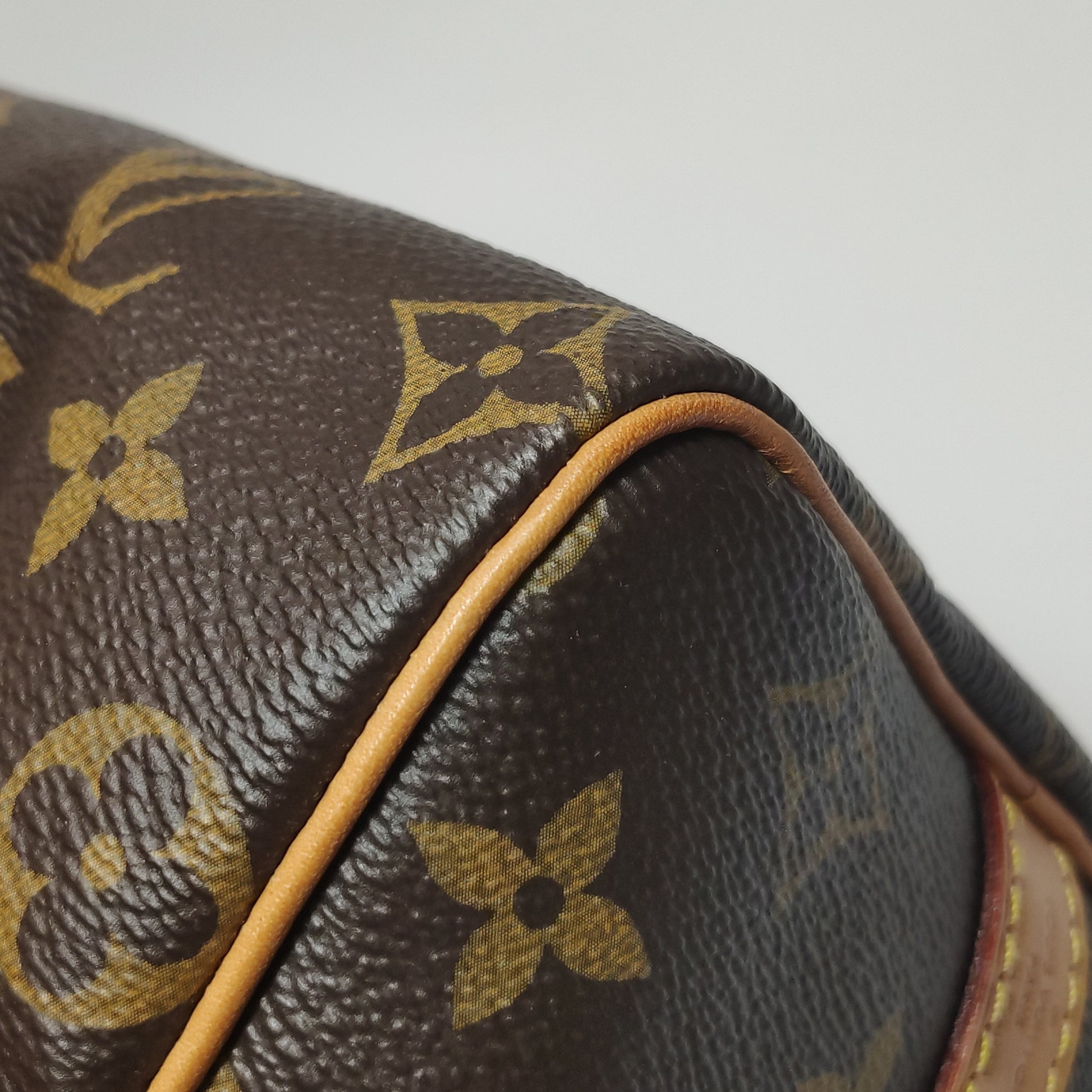 Louis Vuitton Speedy 25 Bandouliere Monogram
