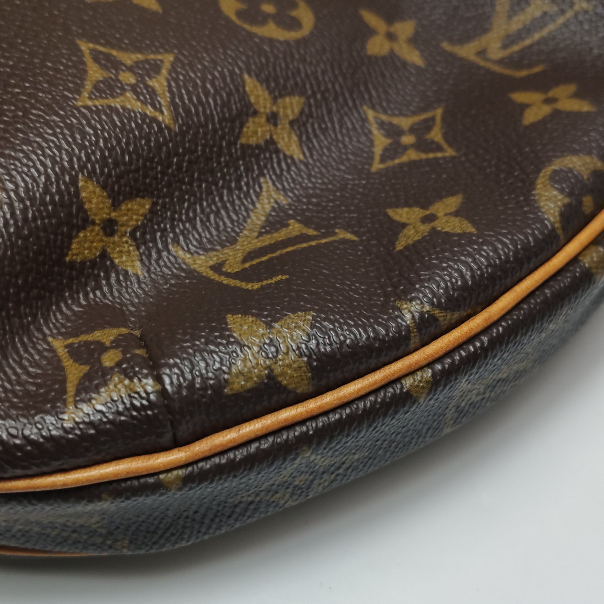 Louis Vuitton Croissant MM Monogram