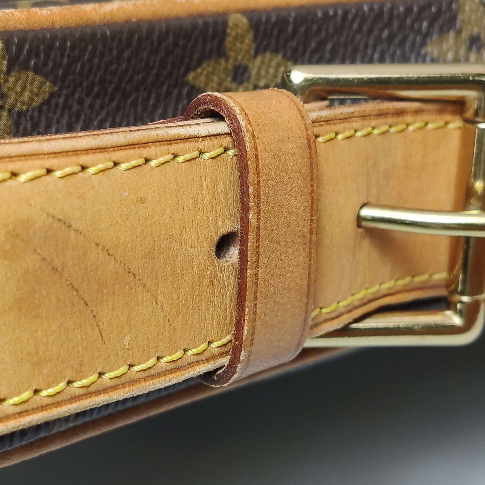 Louis Vuitton Croissant MM Monogram