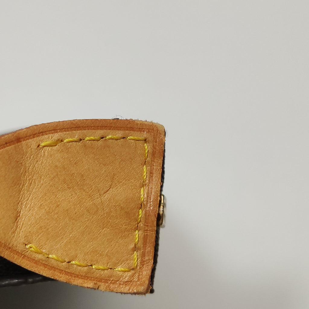 Louis Vuitton Pochette Accessoires Monogram