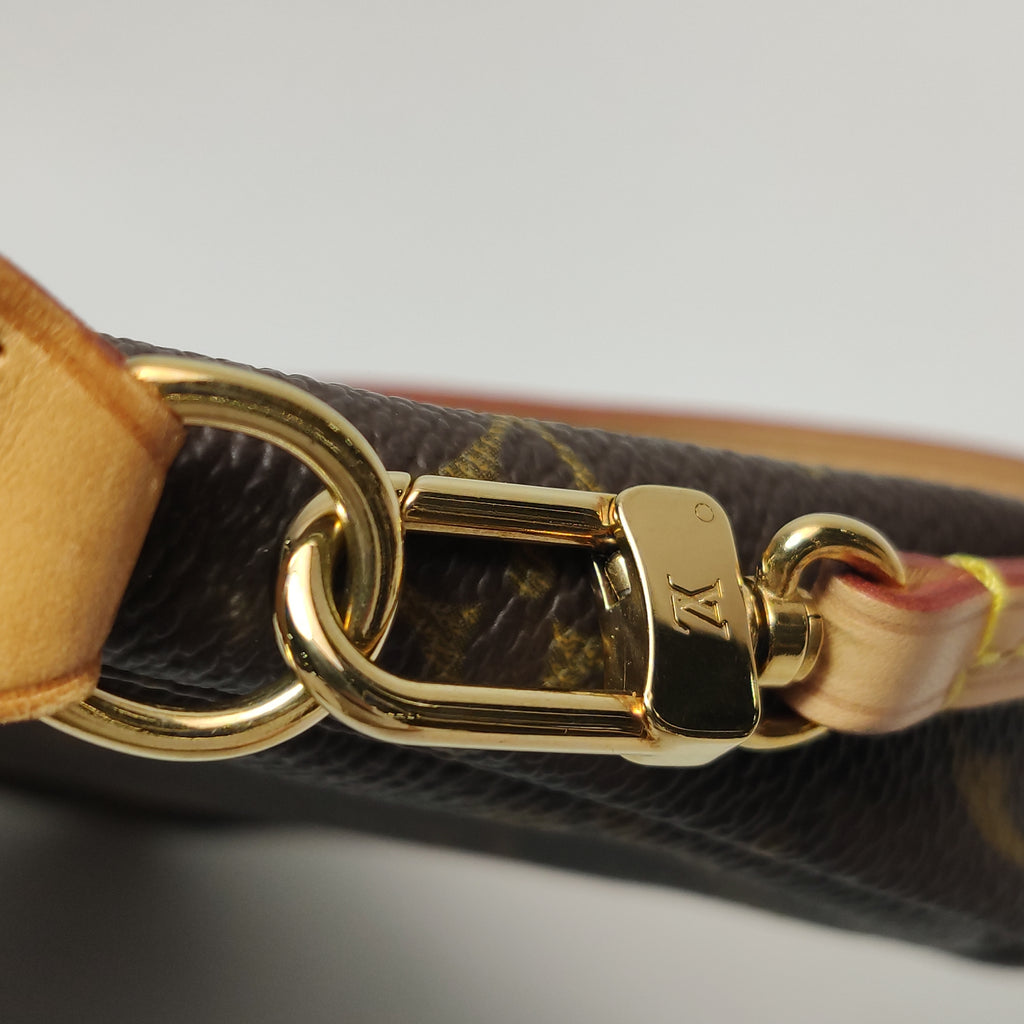 Louis Vuitton Pochette Accessoires Monogram