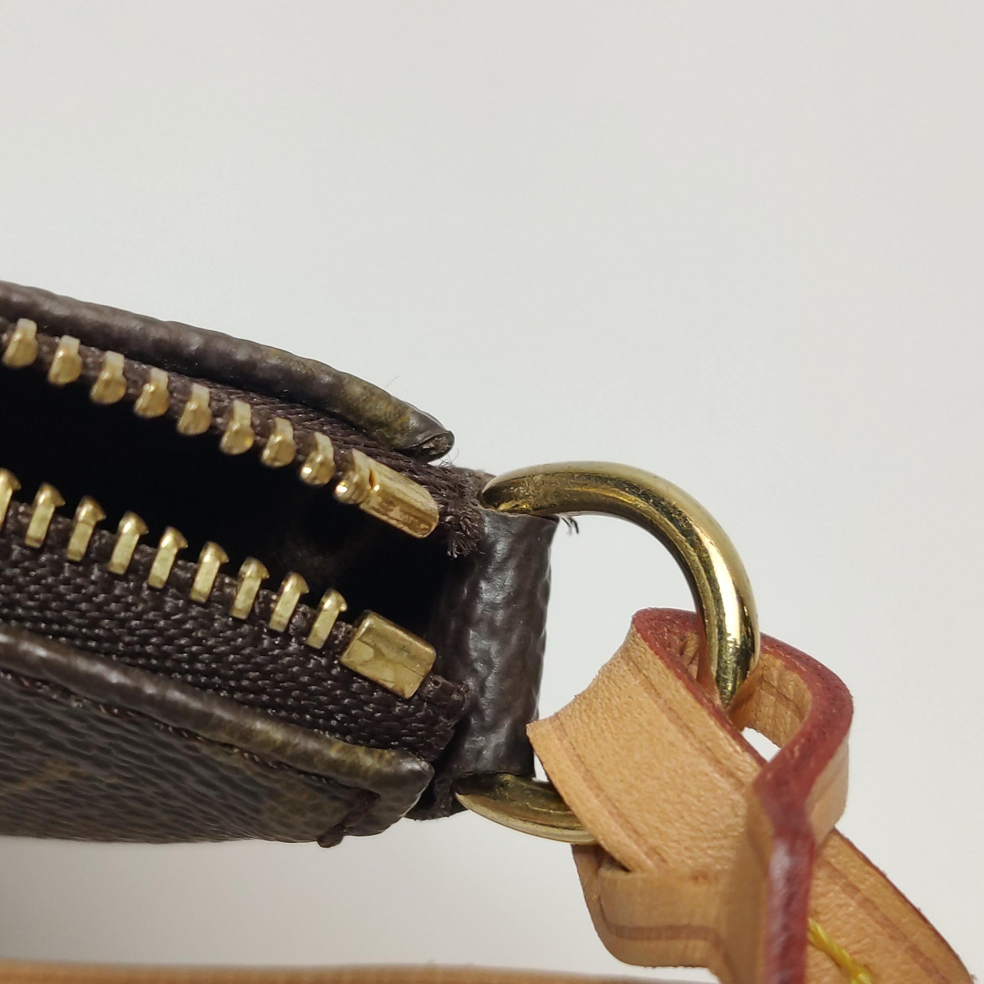 Louis Vuitton Pochette Accessoires Monogram