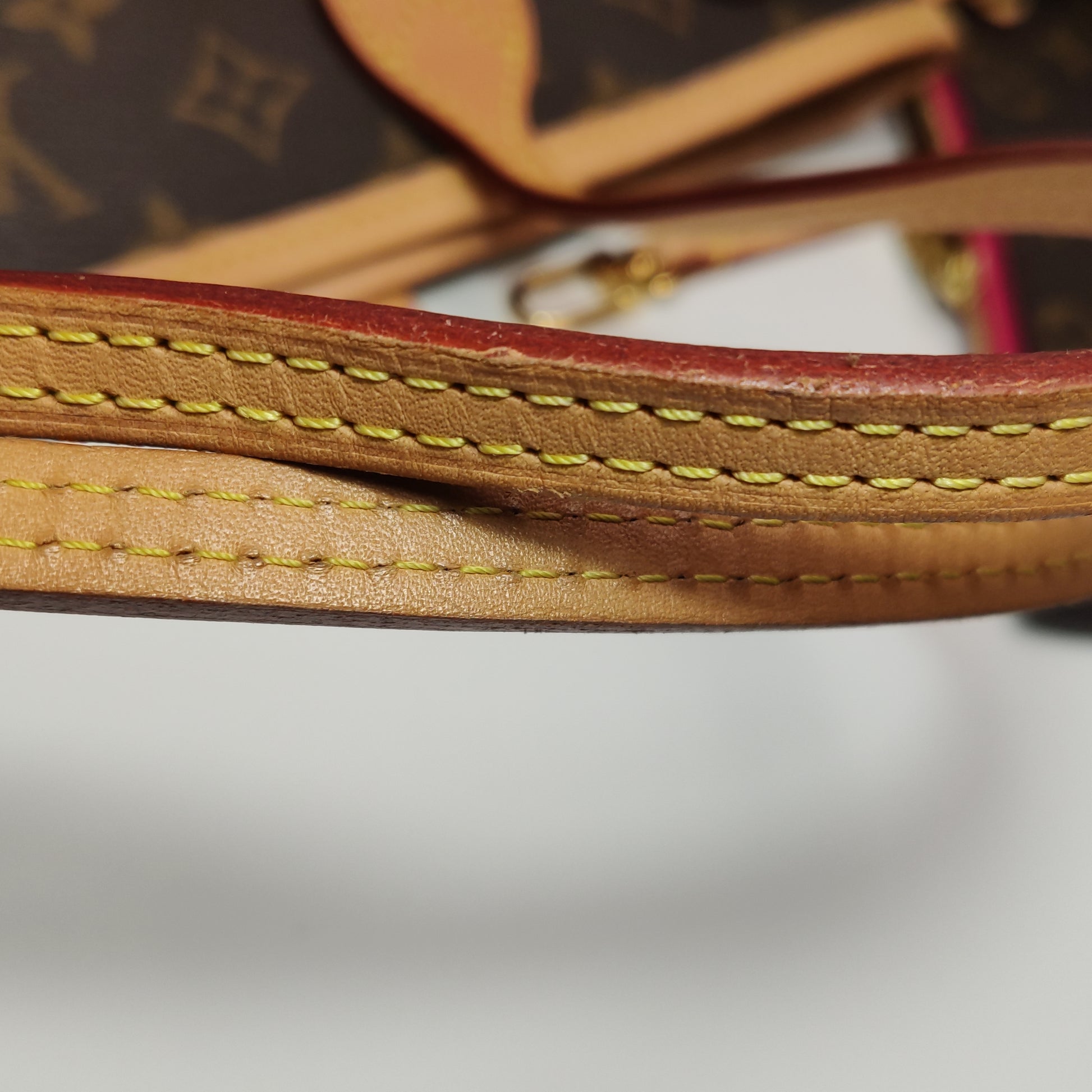 Louis Vuitton Neverfull PM Monogram
