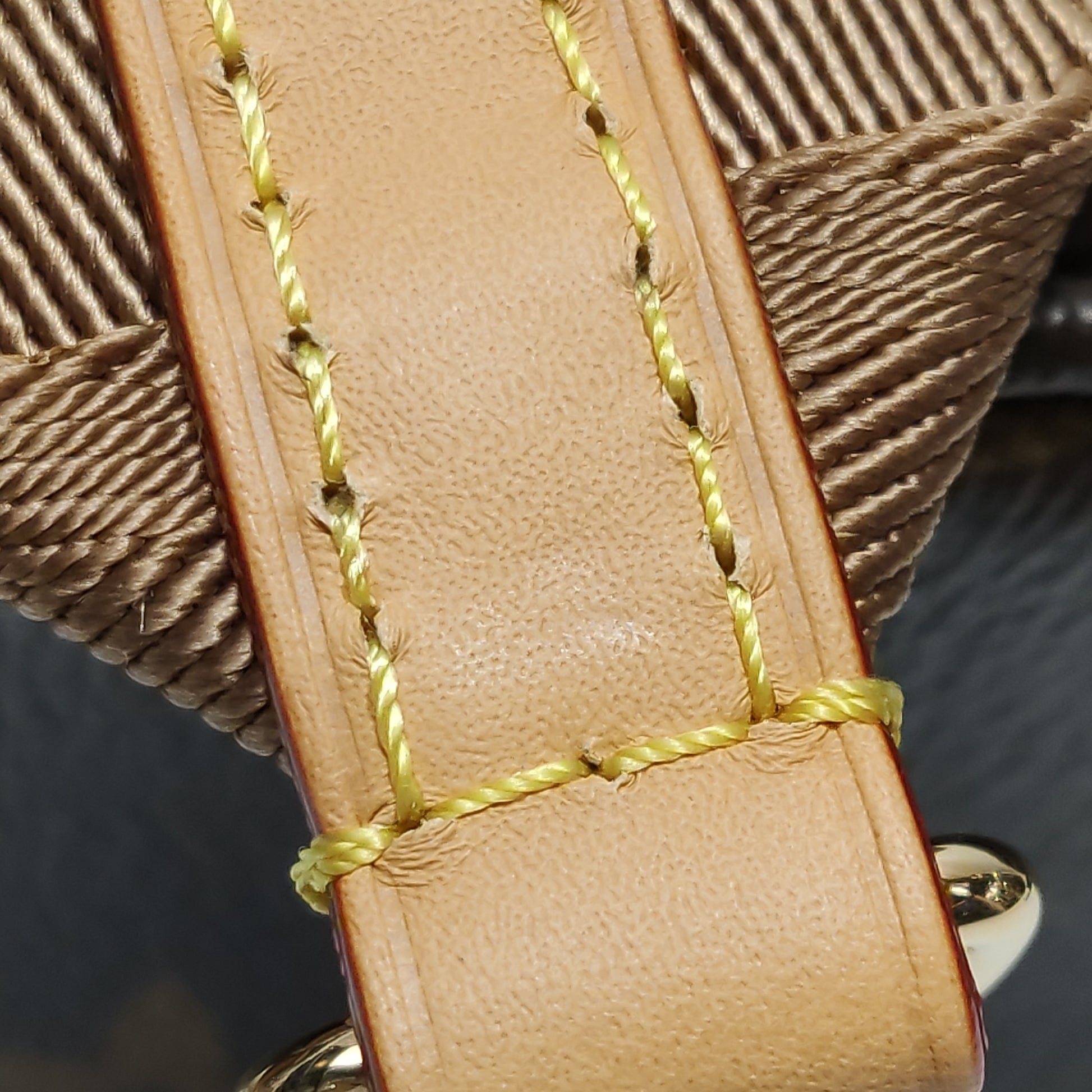 Louis Vuitton Looping Monogram