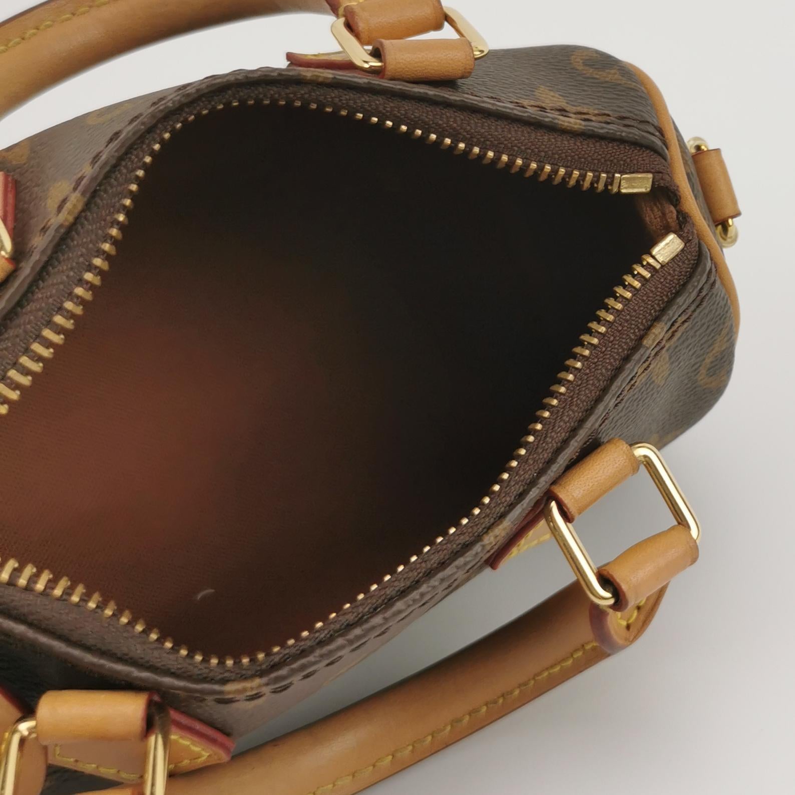 Louis Vuitton Nano Speedy Monogram