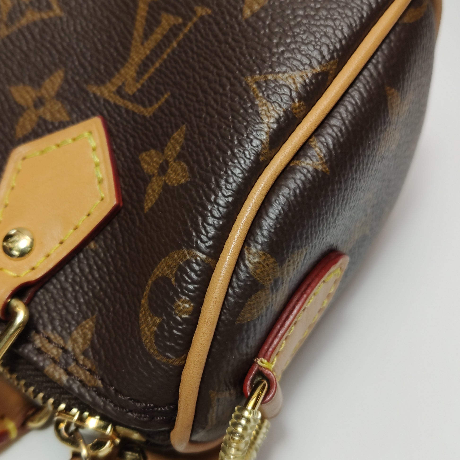 Louis Vuitton Nano Speedy Monogram
