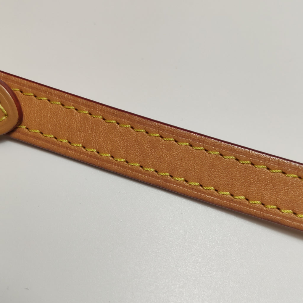 Louis Vuitton Nano Speedy Monogram