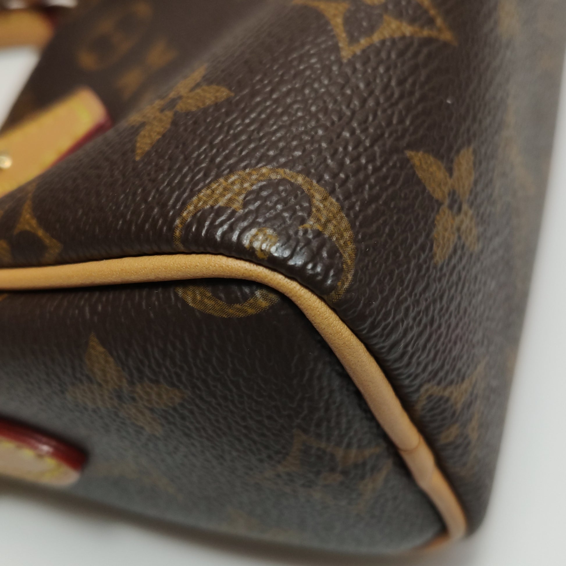 Louis Vuitton Nano Speedy Monogram