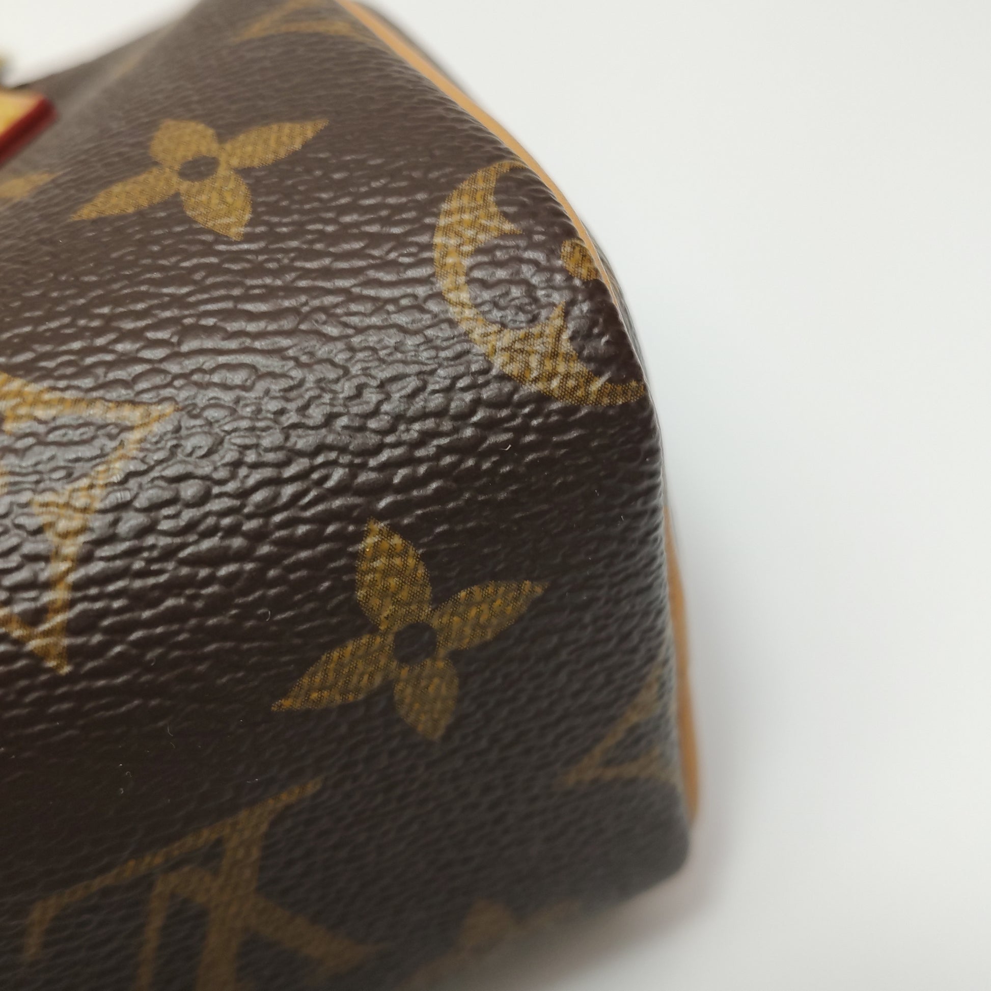 Louis Vuitton Nano Speedy Monogram