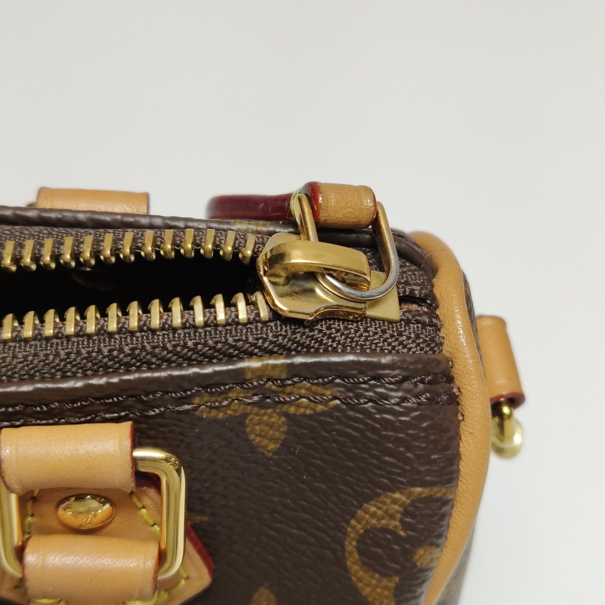 Louis Vuitton Nano Speedy Monogram