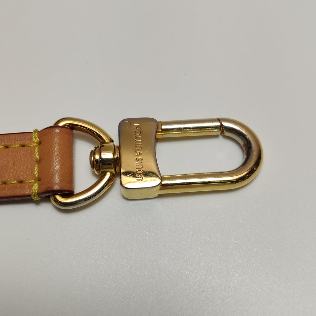 Louis Vuitton Nano Speedy Monogram