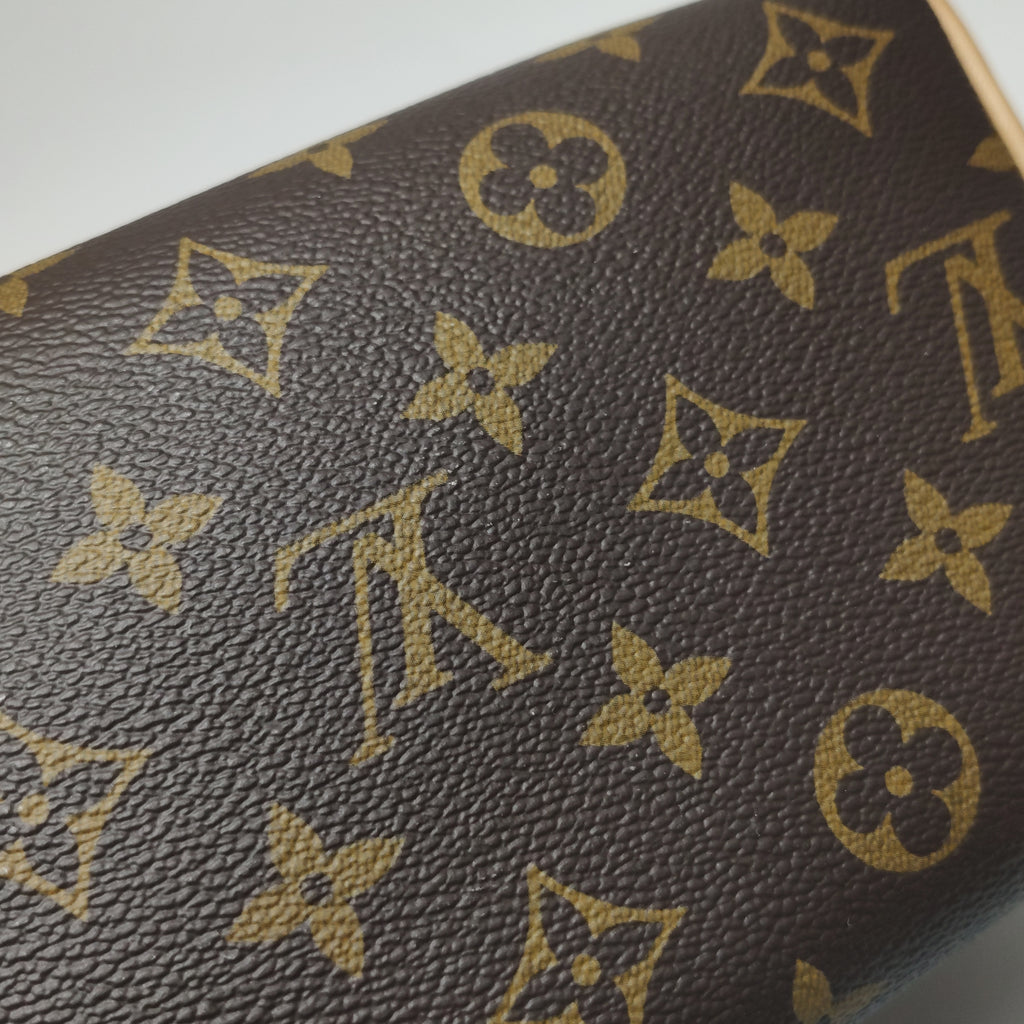 Louis Vuitton Speedy 20 Bandouliere Monogram
