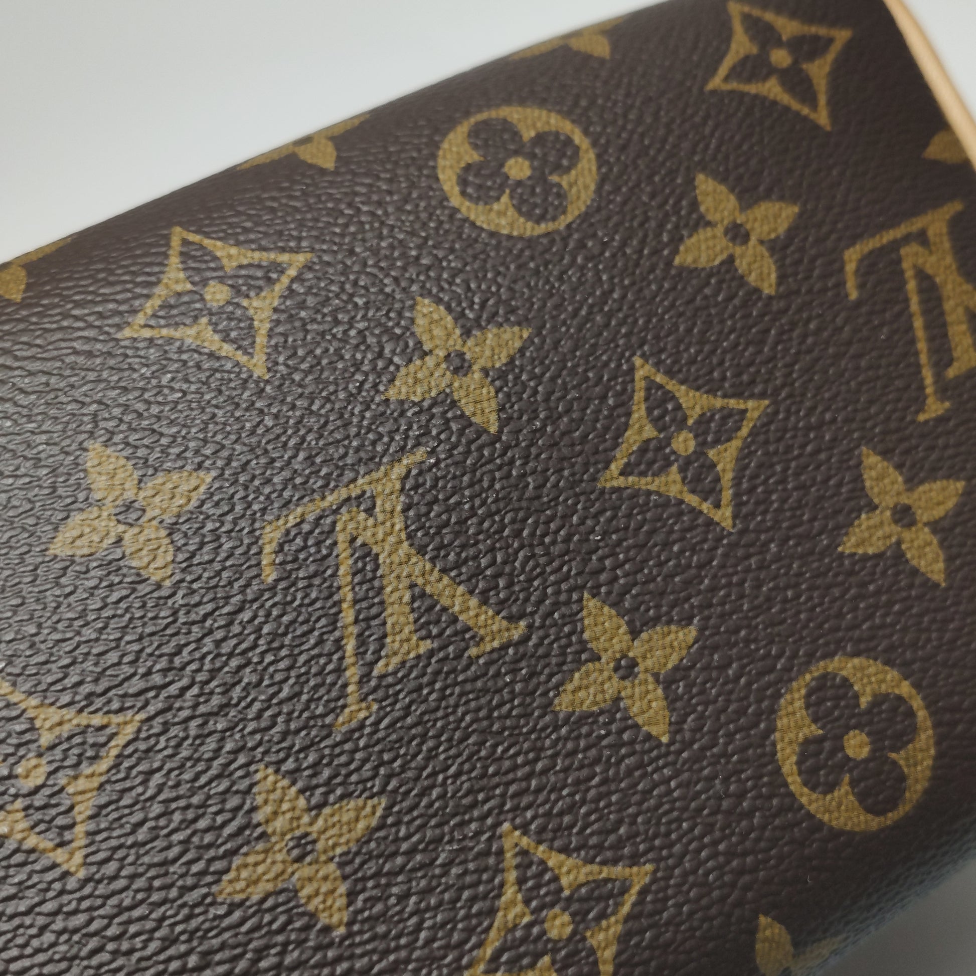 Louis Vuitton Speedy 20 Bandouliere Monogram