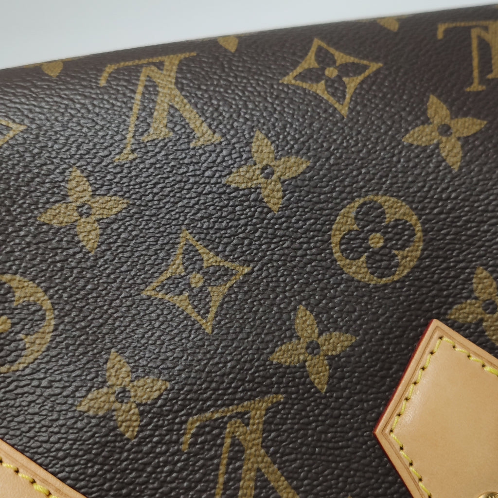 Louis Vuitton Speedy 20 Bandouliere Monogram