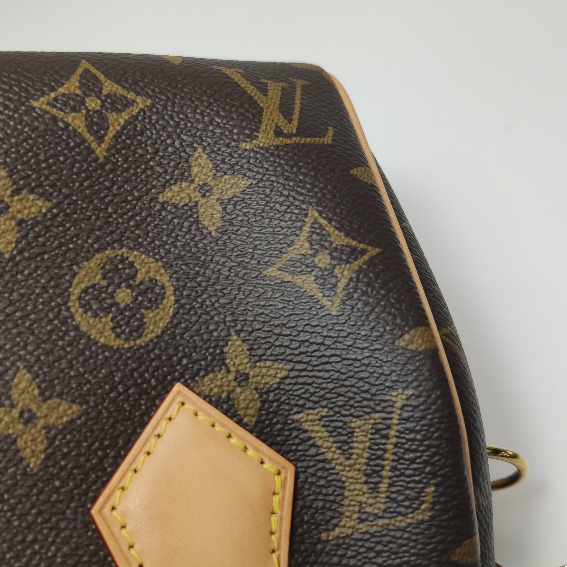 Louis Vuitton Speedy 20 Bandouliere Monogram