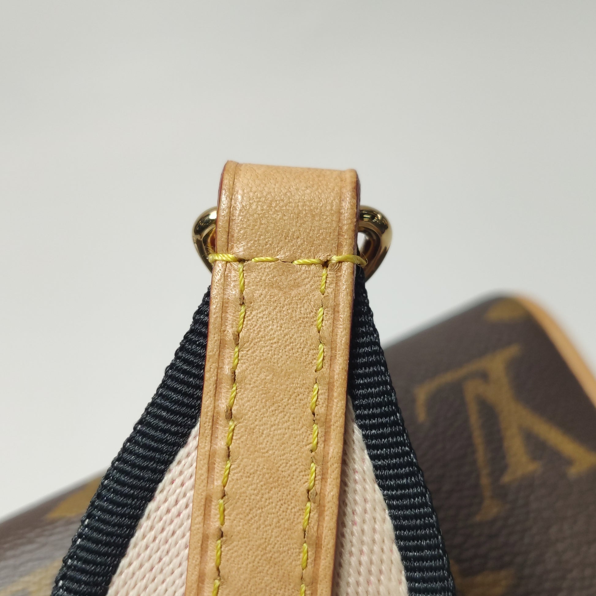 Louis Vuitton Speedy 20 Bandouliere Monogram