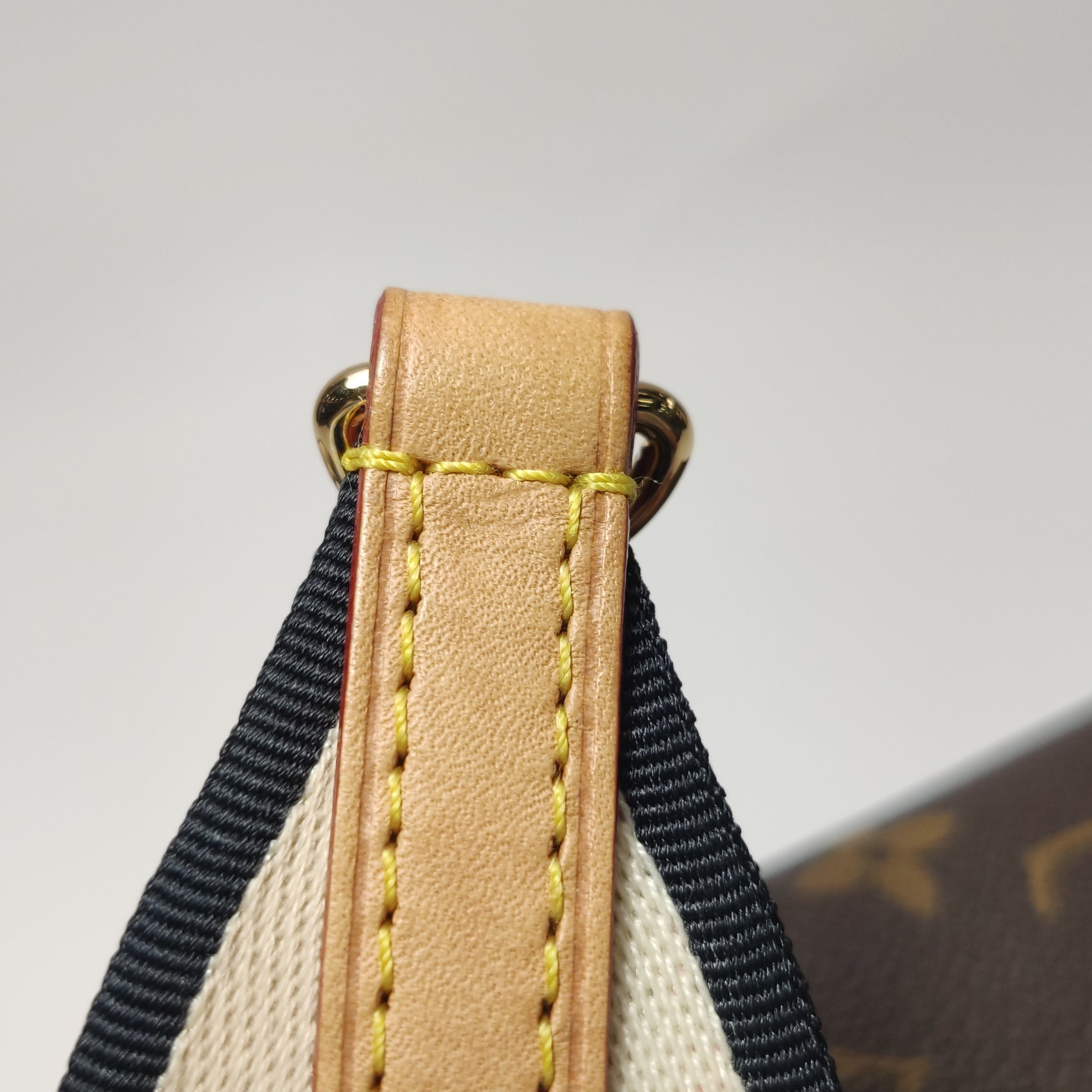 Louis Vuitton Speedy 20 Bandouliere Monogram