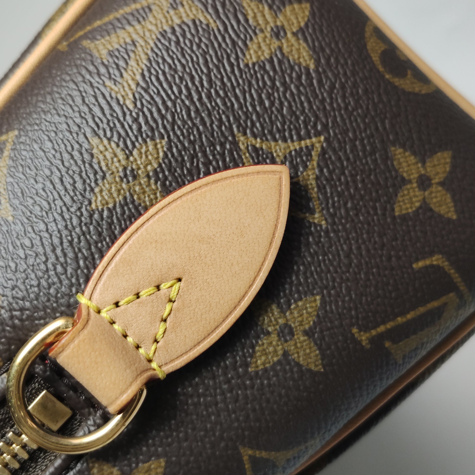 Louis Vuitton Speedy 20 Bandouliere Monogram