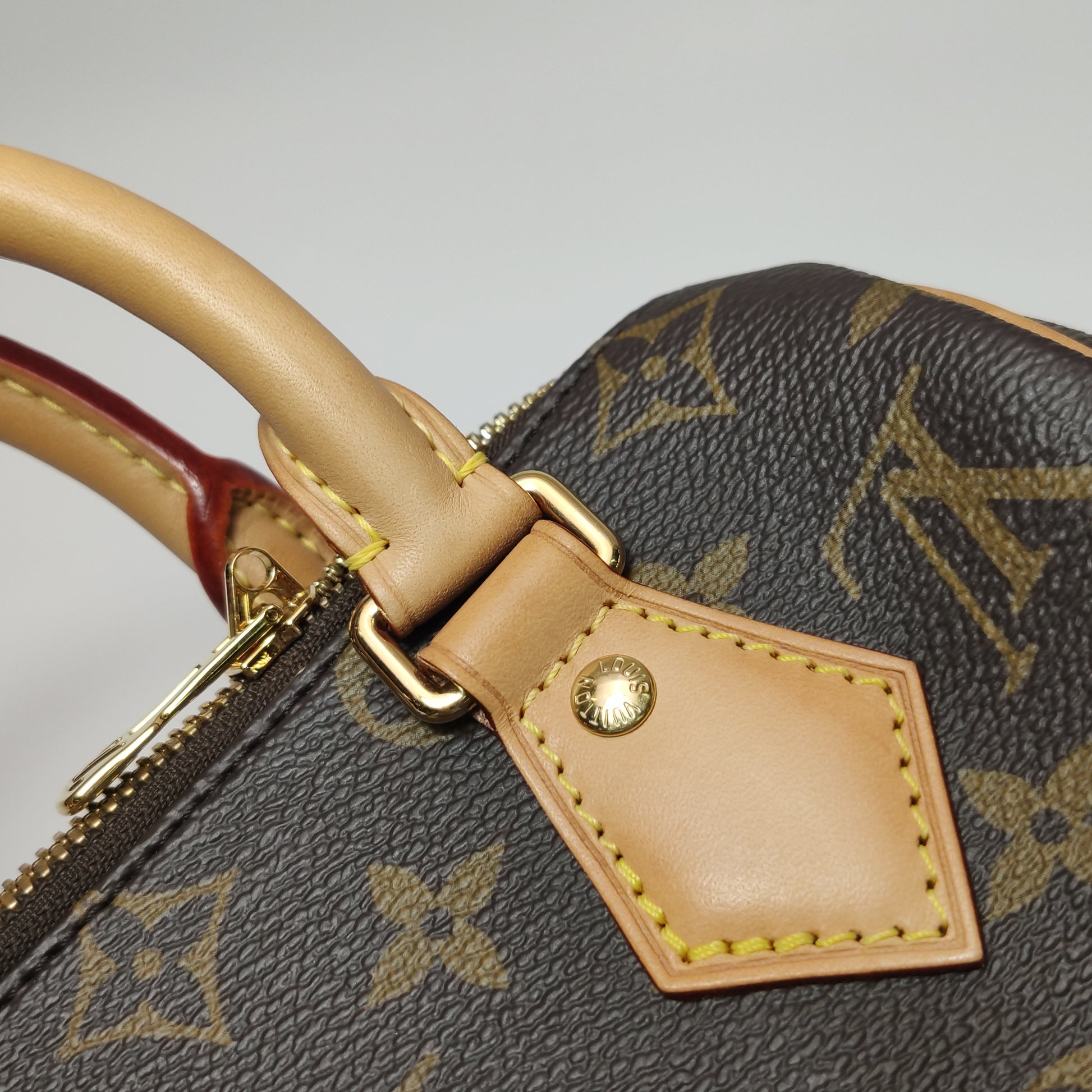 Louis Vuitton Speedy 20 Bandouliere Monogram