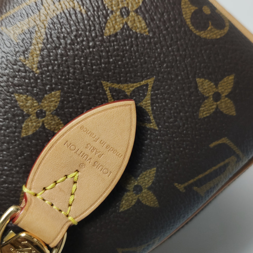 Louis Vuitton Speedy 20 Bandouliere Monogram