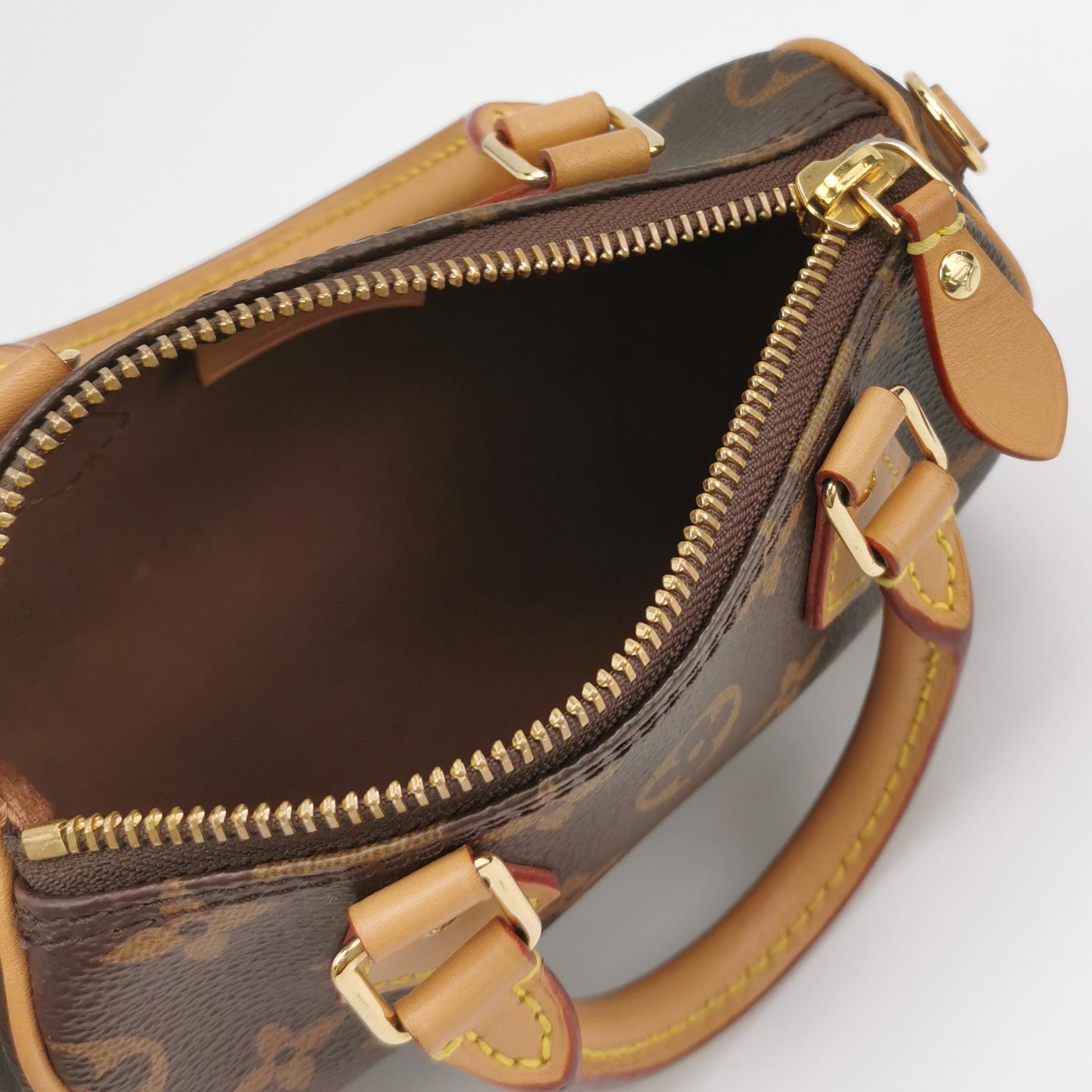 Louis Vuitton Nano Speedy Monogram Crossbody