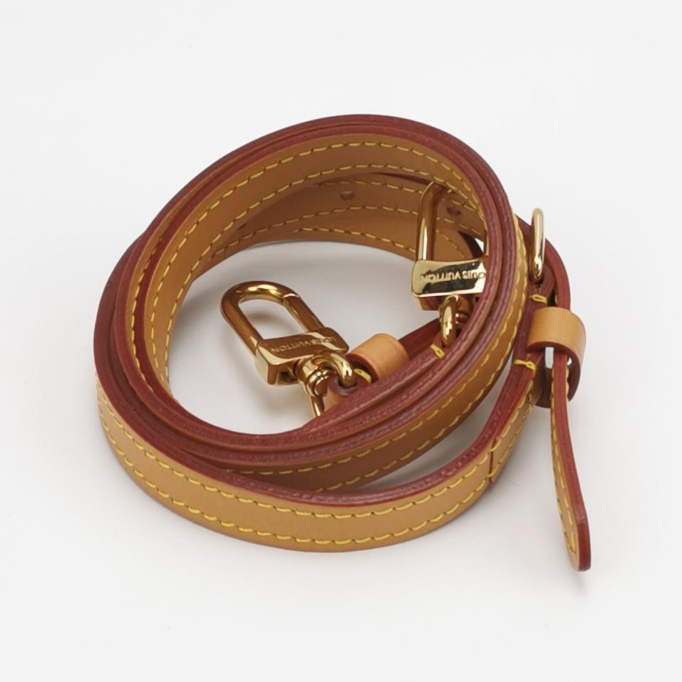 Louis Vuitton Nano Speedy Monogram Crossbody
