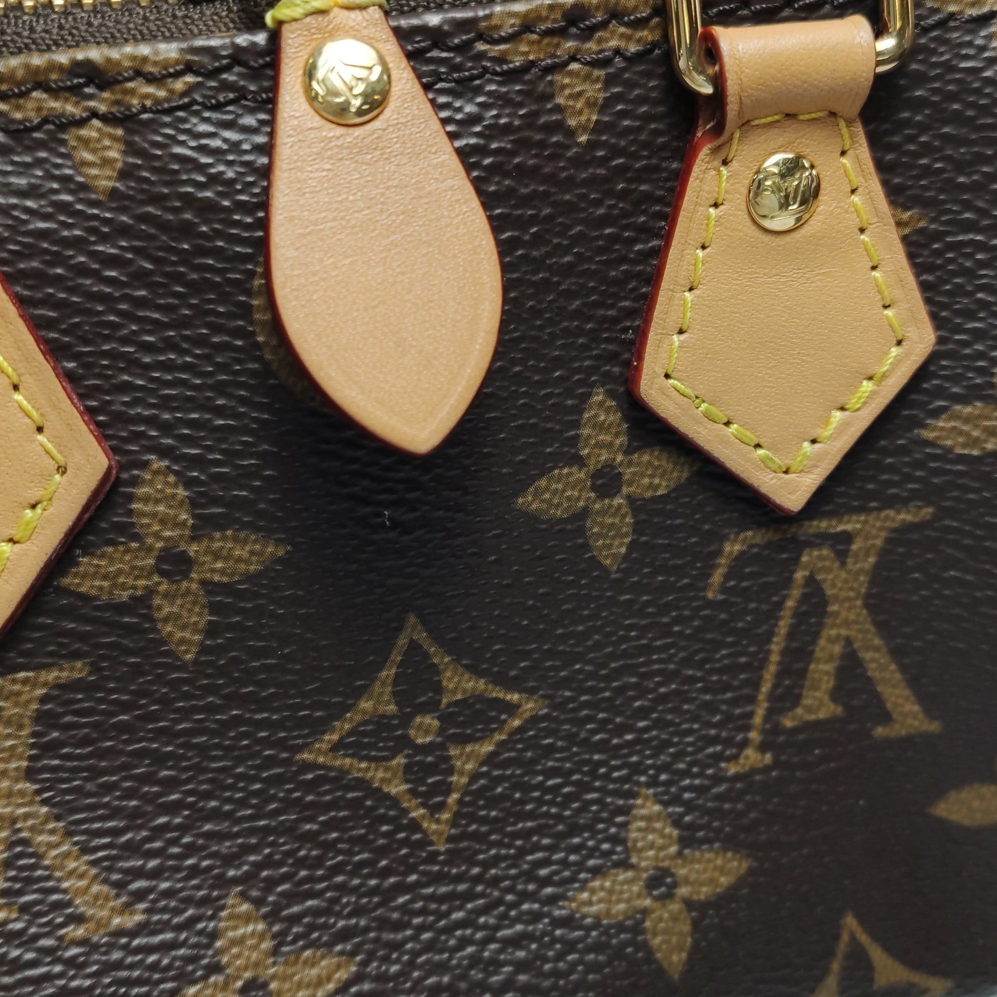 Louis Vuitton Nano Speedy Monogram Crossbody