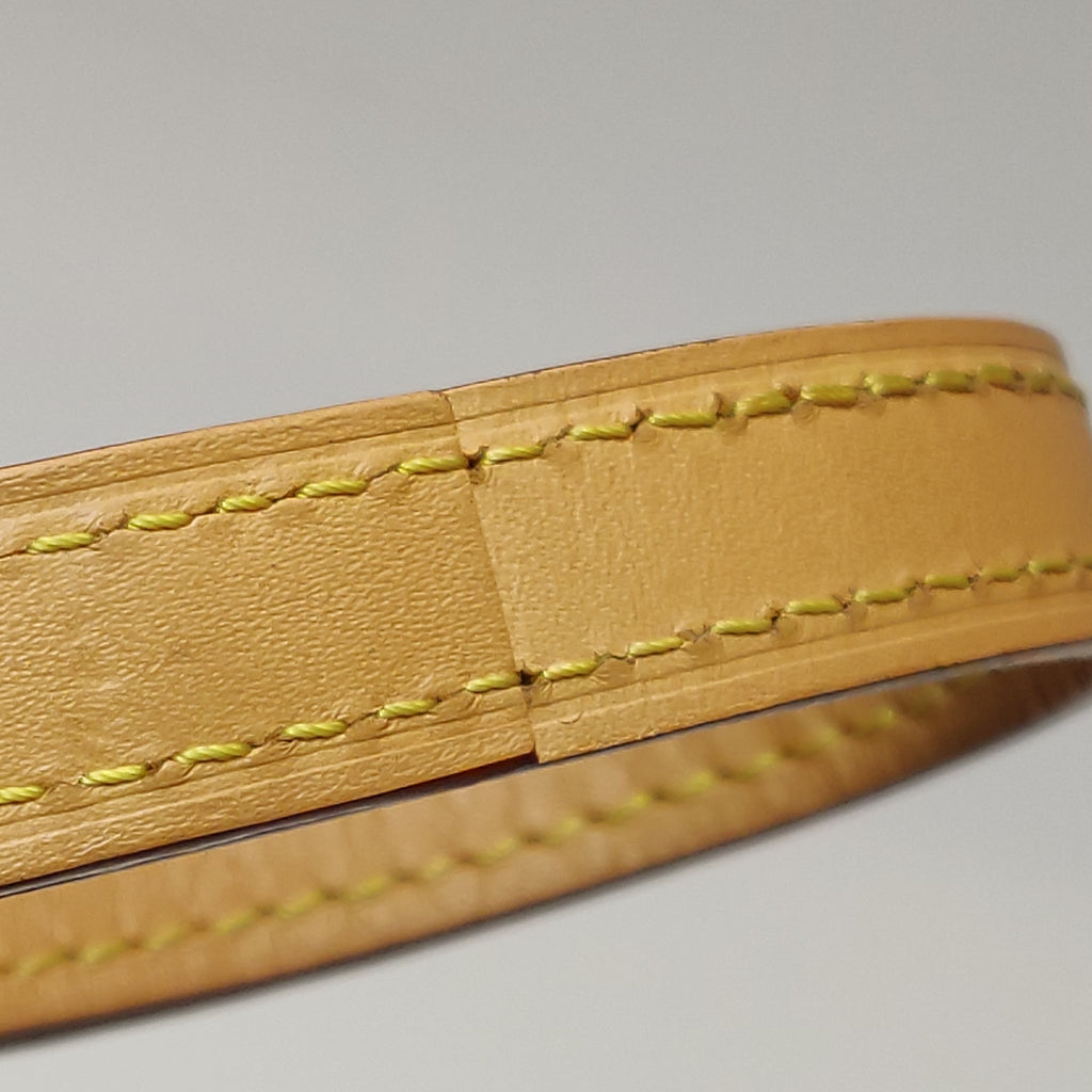 Louis Vuitton Nano Speedy Monogram Crossbody
