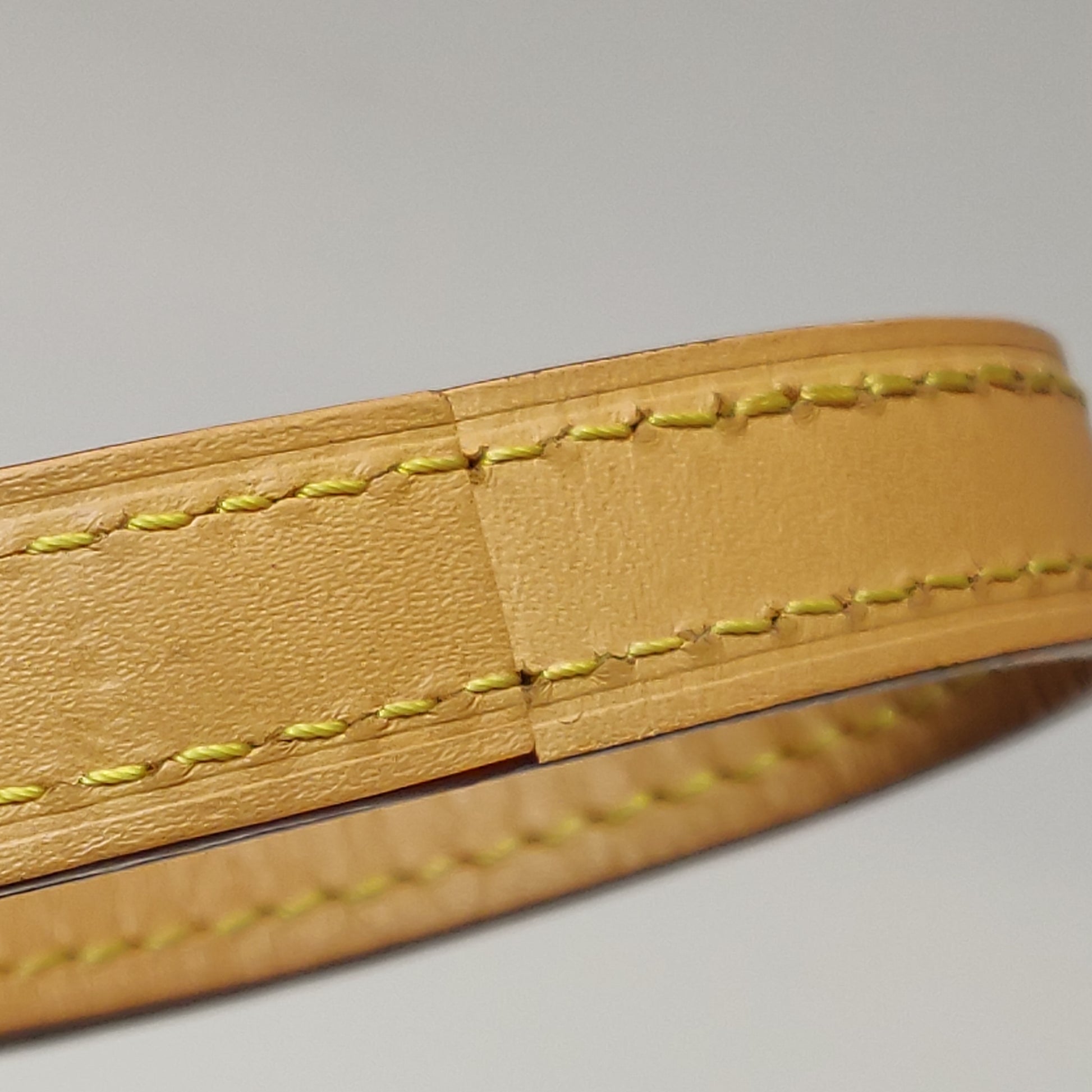 Louis Vuitton Nano Speedy Monogram Crossbody