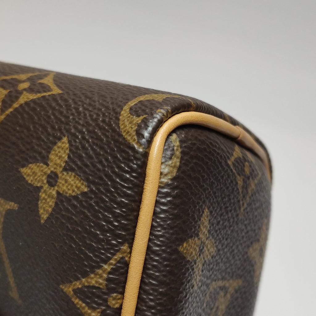 Louis Vuitton Nano Speedy Monogram Crossbody