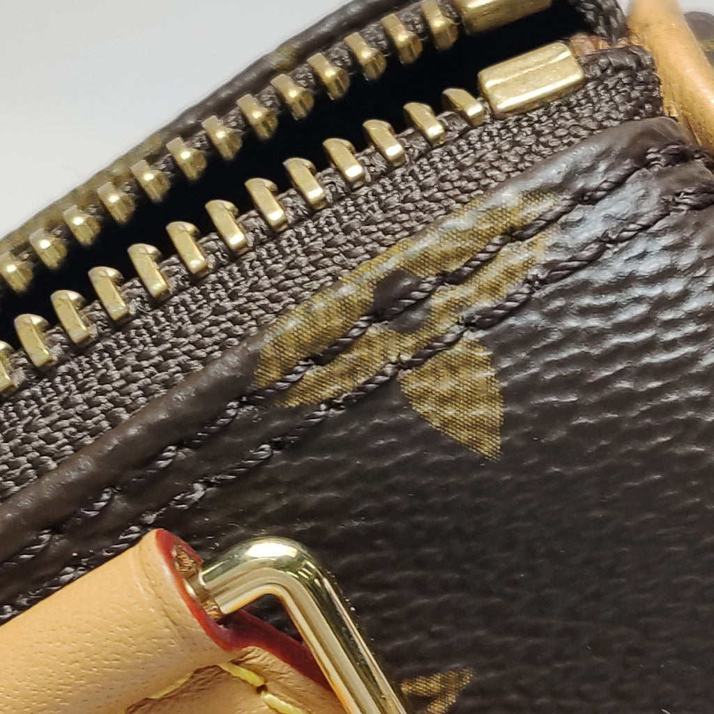 Louis Vuitton Nano Speedy Monogram Crossbody